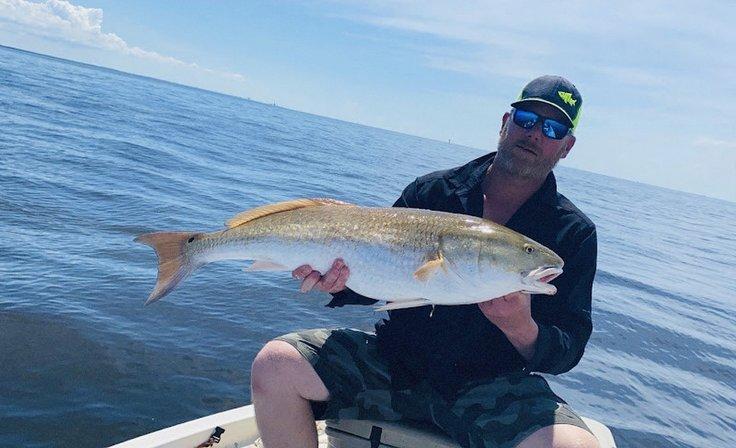 Sunstate fishing charters