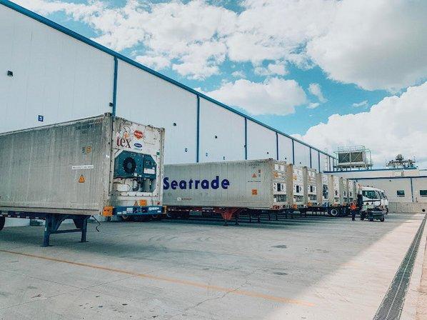 Port Logistics Refrigerated Services