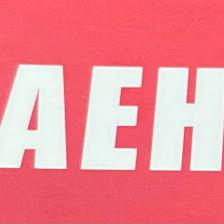 AEH Handyman Services, LLC