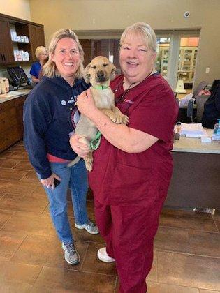 Grand Central Veterinary Hospital
