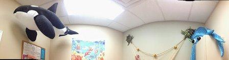 Pediatric Health Care Alliance- (PHCA) Walsingham (Largo)