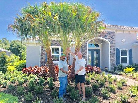 ELT Landscape Company