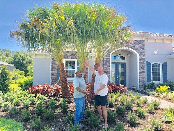 ELT Landscape Company