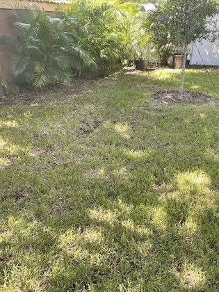 Massey Services GreenUP Lawn Care Service