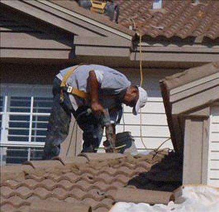 Terrance McKeever Enterprises dba Roof Monsters