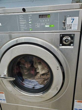 Suncoast Laundromats - Sparkle