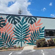 Solely Therapeutic Massage and Wellness Studio
