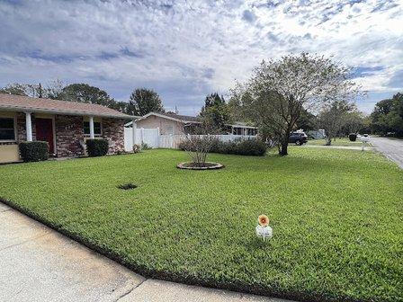 Natural Green Lawn Spraying