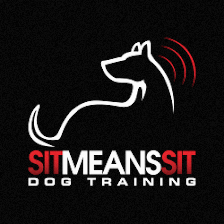 Sit Means Sit Dog Training Tampa