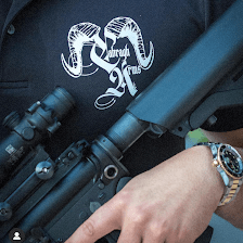 Cabragh Arms LLC