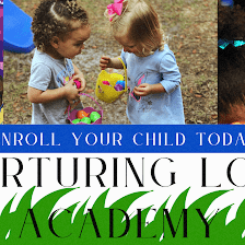 Nurturing Love Academy LLC