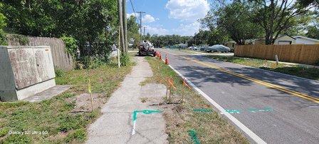 Tampa-Hillsborough Interconnect