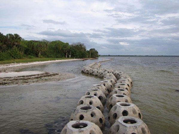 Tampa Bay Estuary Program