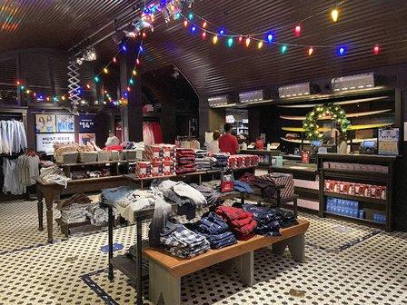 Hollister Co.
