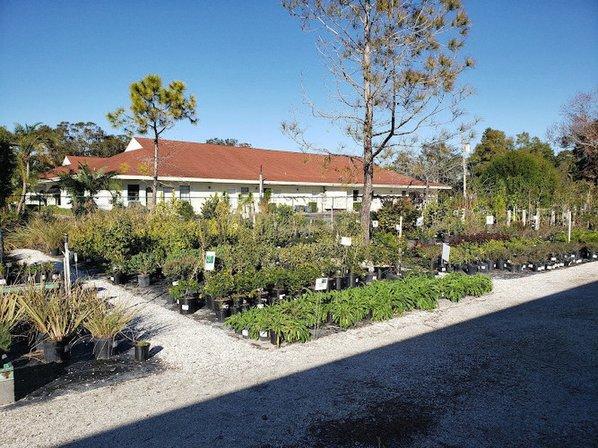 Wilcox Nursery and Landscape