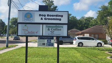 High Low Plumbing Services, LLC