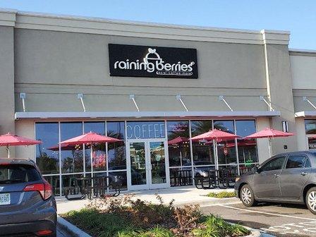 Raining Berries - Lutz / Wesley Chapel