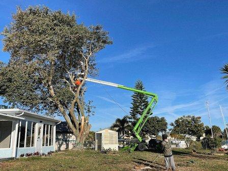 A-Z Tree Services #AAA0052018