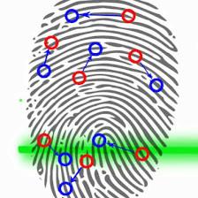 Tampa Bay Live Scan Fingerprinting