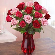 New Tampa Florist