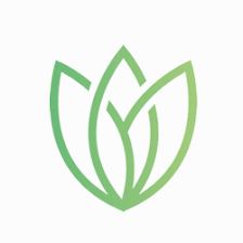 Aloe Infusion