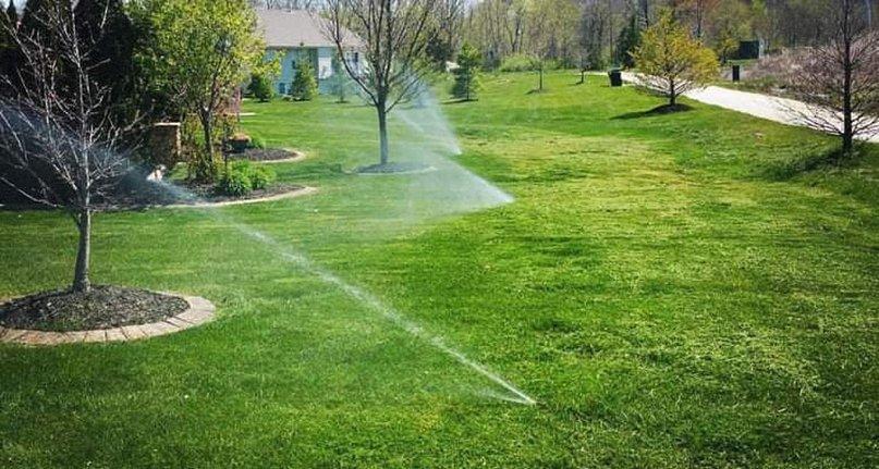 Waldrops Lawn & Irrigation