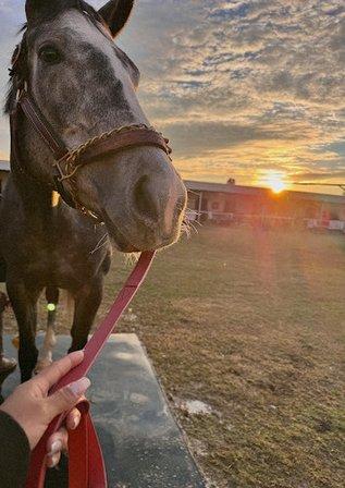 AAA Feed & Tack Co