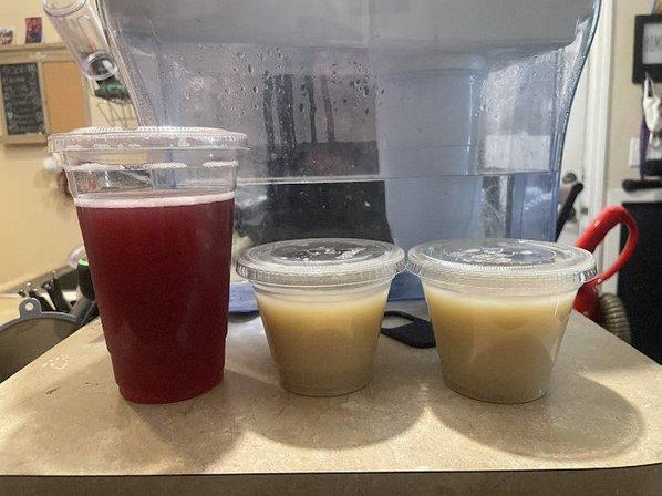 Tribe Tea House and Kava Bar
