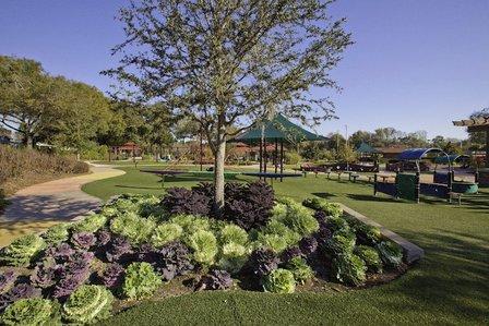 Common Ground Playground