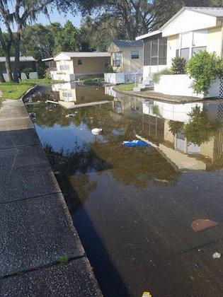 Bullfrog Creek Mobile Home Park