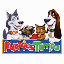 Puppies Tampa