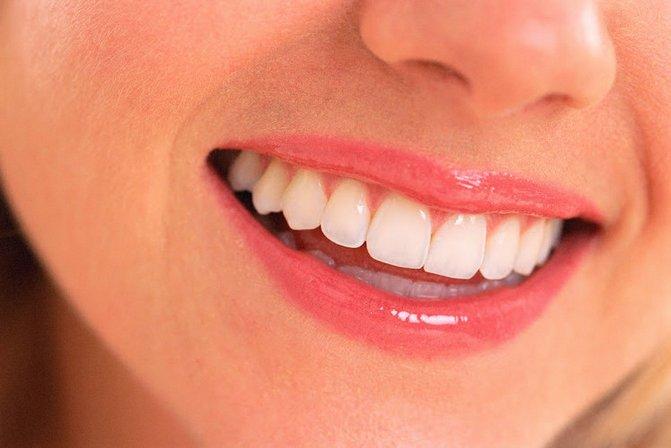 Dolphin Dental Group