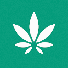 Surterra Wellness - Medical Marijuana Dispensary | Brandon