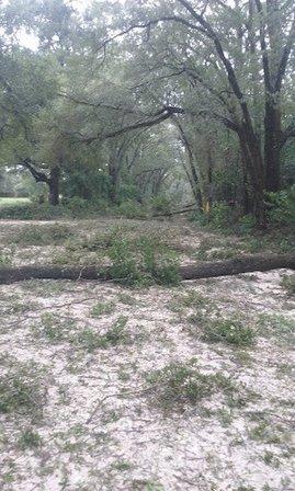 Florida Fountain Maintenance