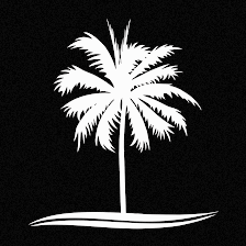 Tampa Life Church