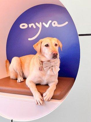 ONYVA
