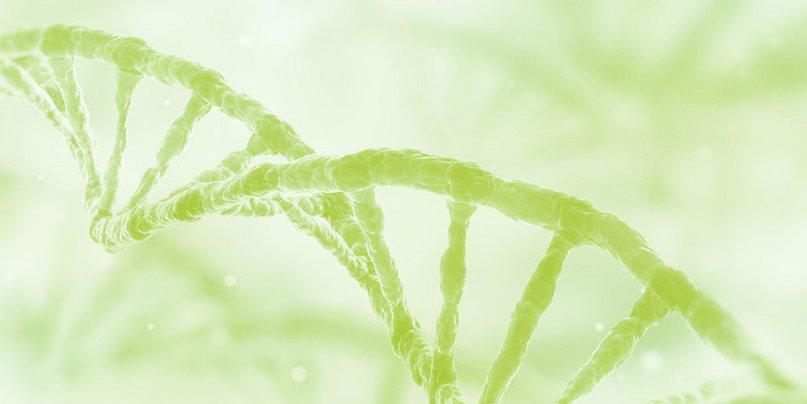 NeoGenomics Laboratories