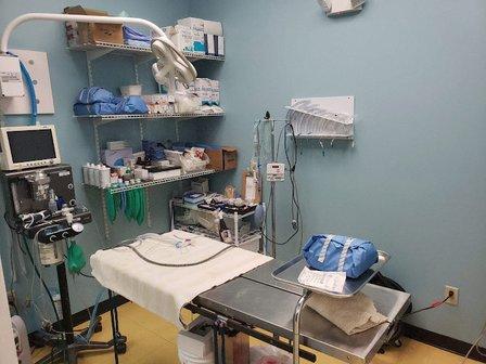 Affordable Pet Hospital
