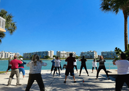 TAI CHI EASY FOR LIFE