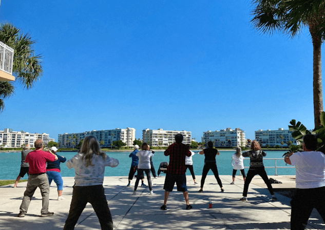 TAI CHI EASY FOR LIFE