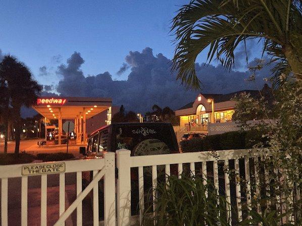 Tropic Breezes