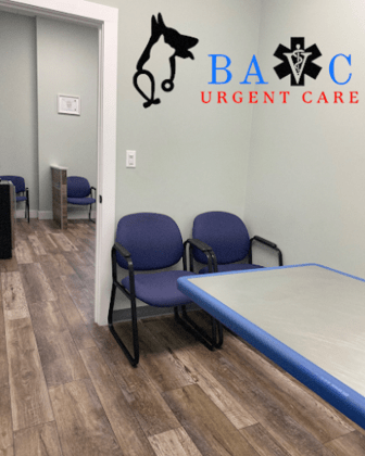 Bay Area Veterinary Care