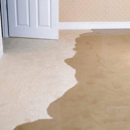 Paul Davis Restoration of Pasco & Hernando Counties, FL