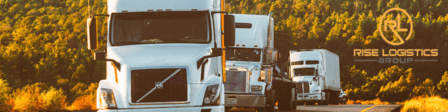 Rise Logistics Group