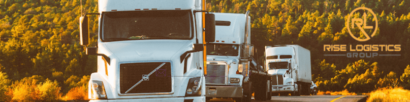 Rise Logistics Group