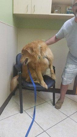 Enterprise Rd Animal Hospital, Dr Carlos Pola