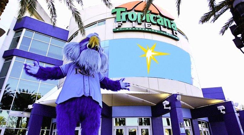 Tampa Bay Rays