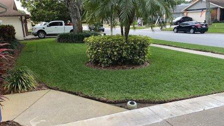 Massey Services GreenUP Lawn Care Service