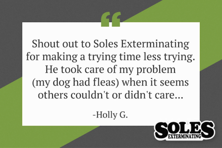 Soles Exterminating, Inc.
