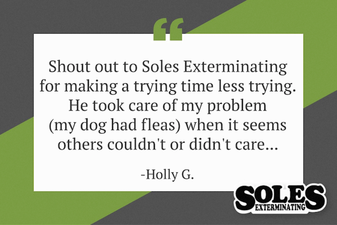 Soles Exterminating, Inc.